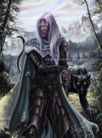 /album/dragones-y-elfos/elfo-oscuro-jpg/